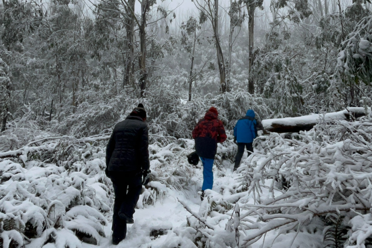 walking-in-snow-news-750x500 walking in snow